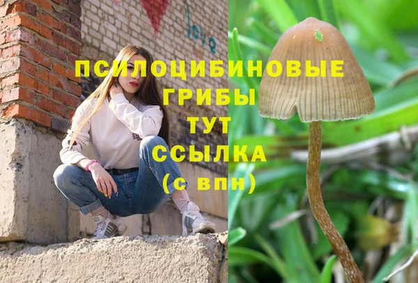 тгк Козельск