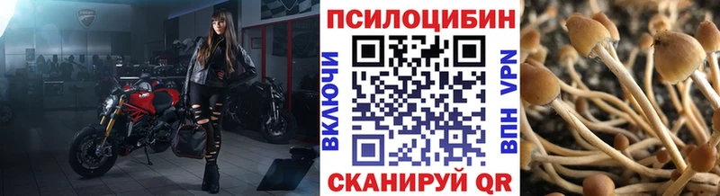 Псилоцибиновые грибы мицелий Красноуральск